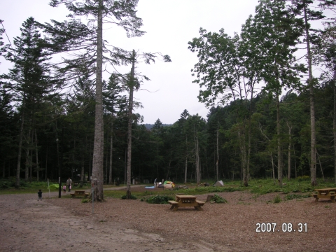 s_PICT0639.jpg